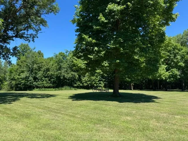 57890 425th Street New York Mills, MN 56567
