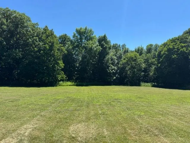 57890 425th Street New York Mills, MN 56567