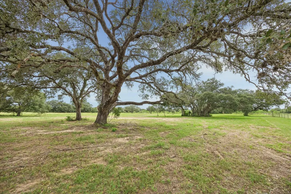 Legacy Court Columbus, TX 78934