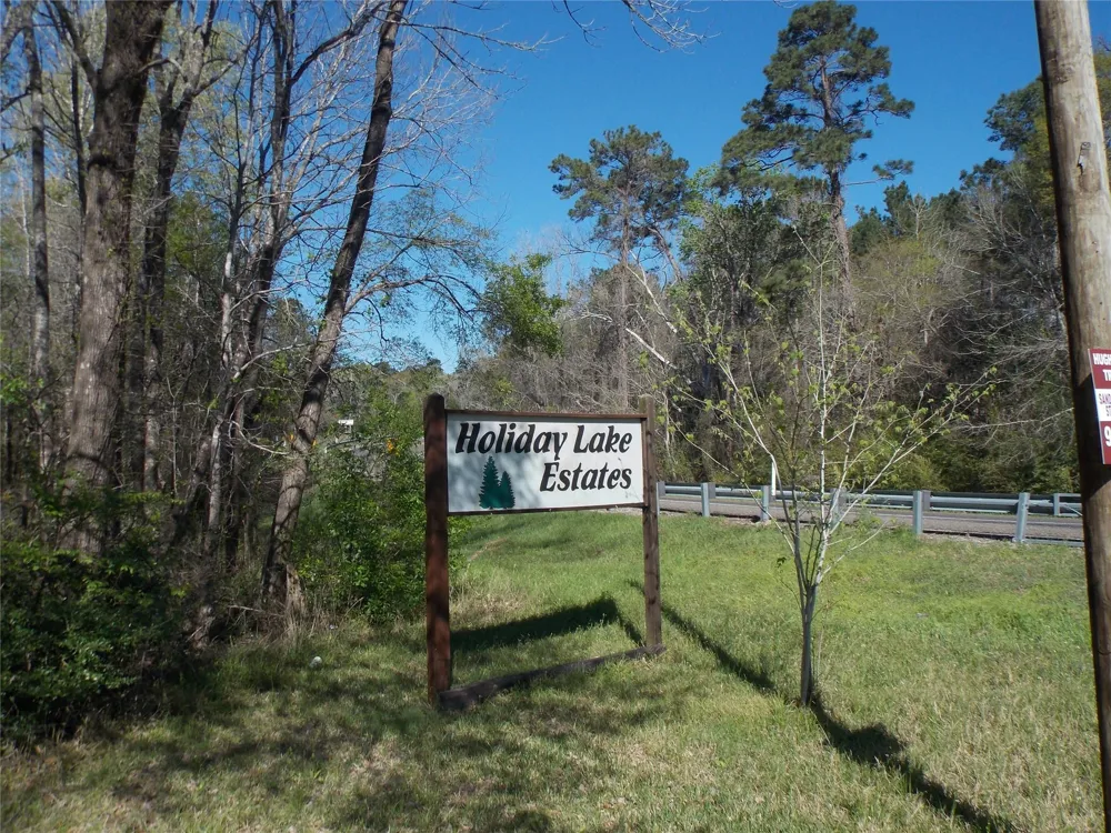 412 Driftwood Drive Goodrich, TX 77335