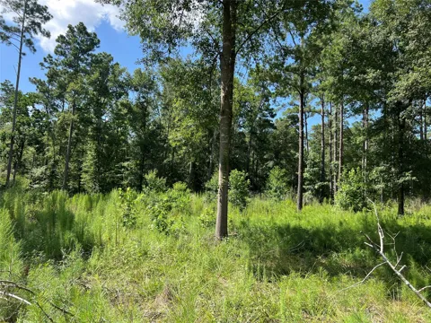 641 Rolling Pines Drive
