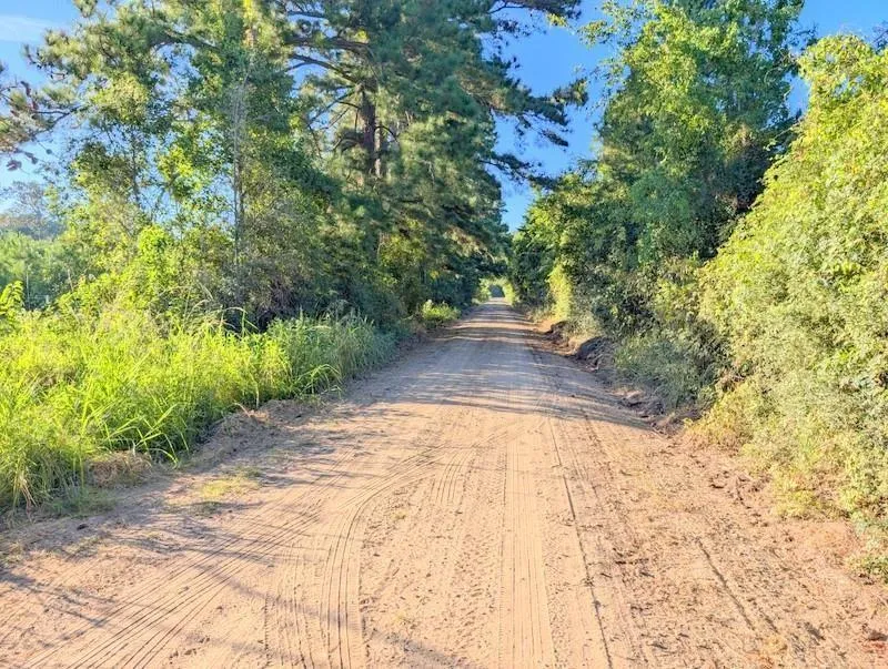 County Road 3385 Lovelady, TX 75851