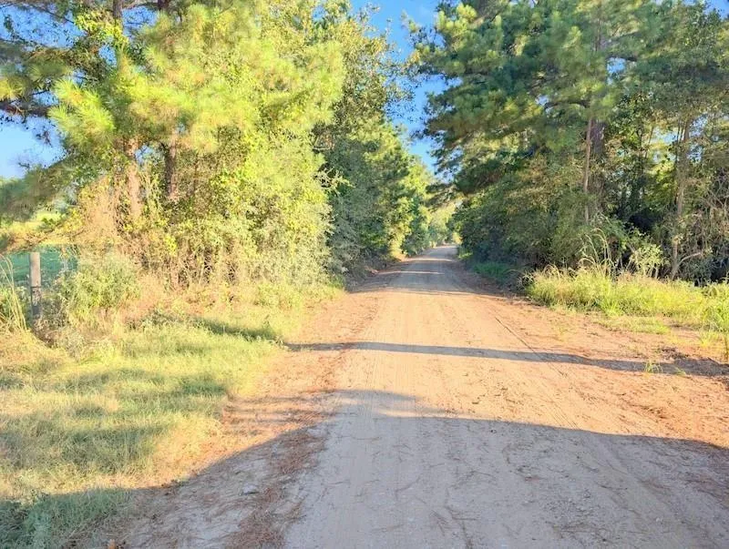 County Road 3385 Lovelady, TX 75851