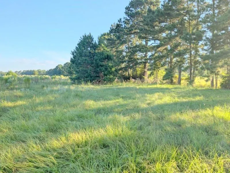 County Road 3385 Lovelady, TX 75851