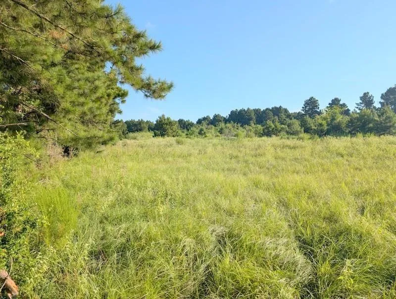 County Road 3385 Lovelady, TX 75851
