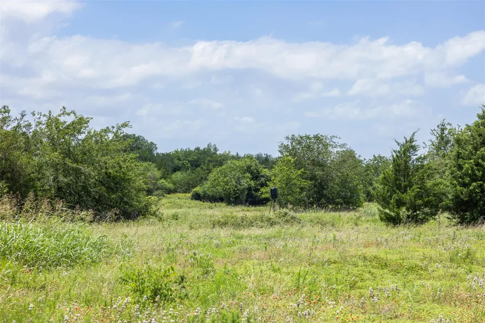 Crazy Horse Trail Brenham, TX 77833