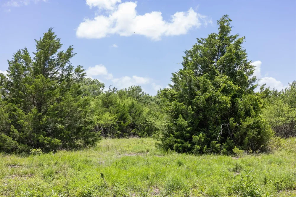 Crazy Horse Trail Brenham, TX 77833