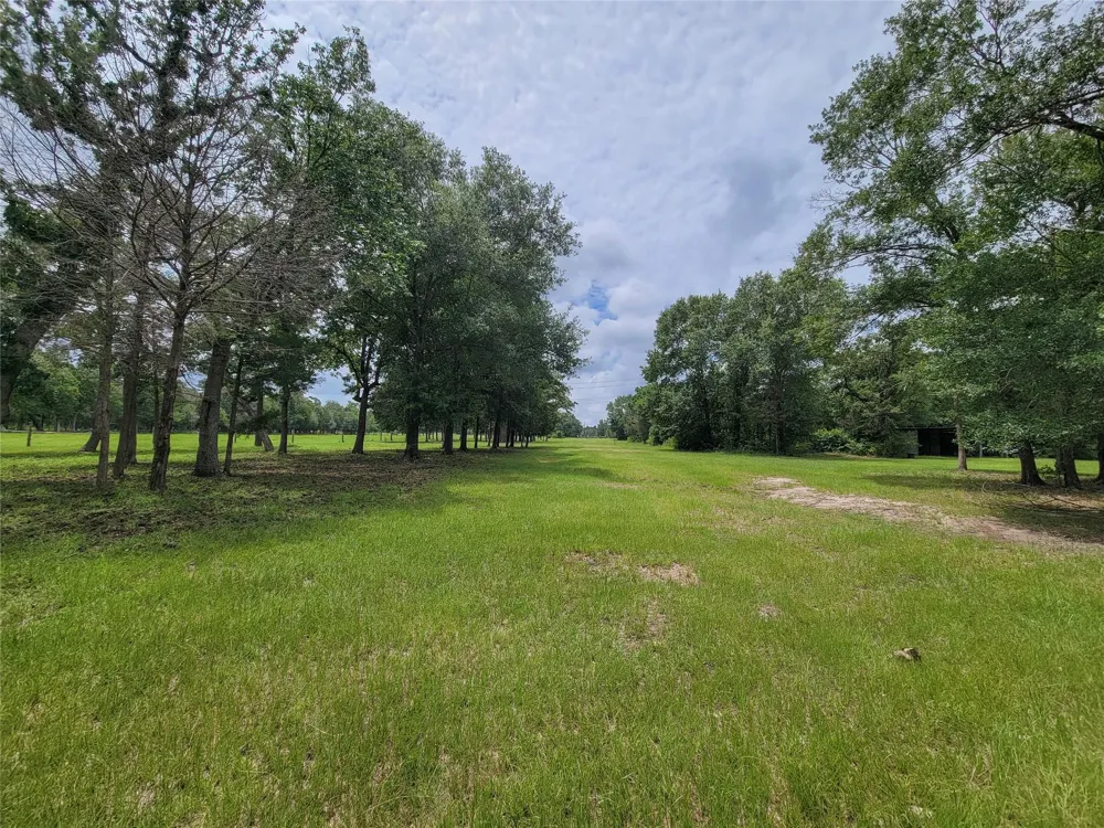 1785 Misty Hollow Lane Bedias, TX 77831