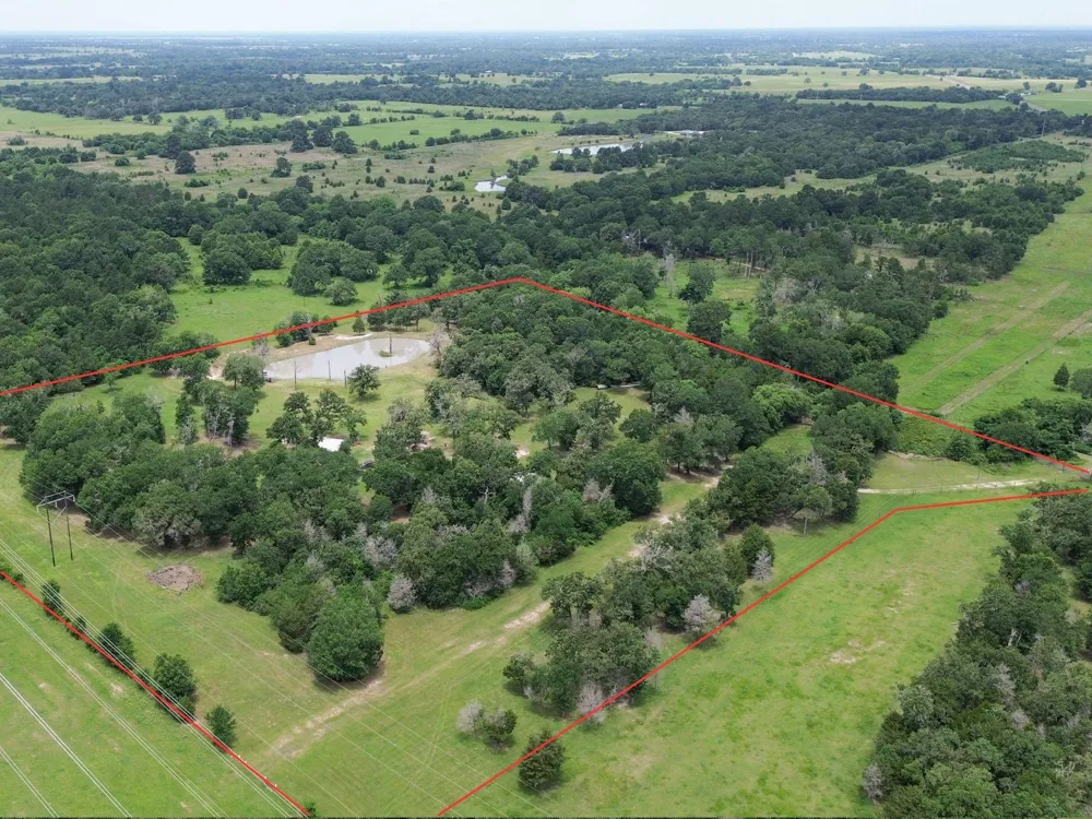 1785 Misty Hollow Lane Bedias, TX 77831