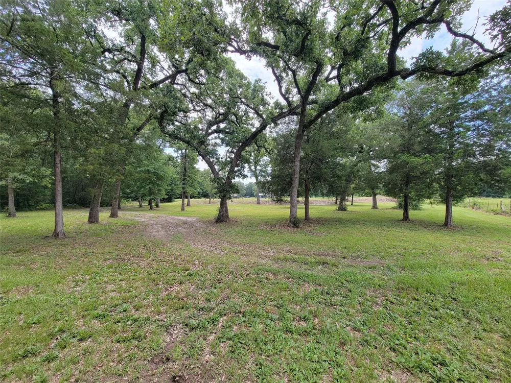 1785 Misty Hollow Lane Bedias, TX 77831