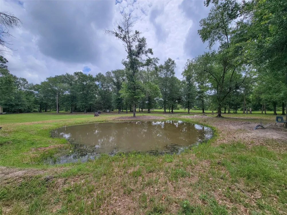 1785 Misty Hollow Lane Bedias, TX 77831