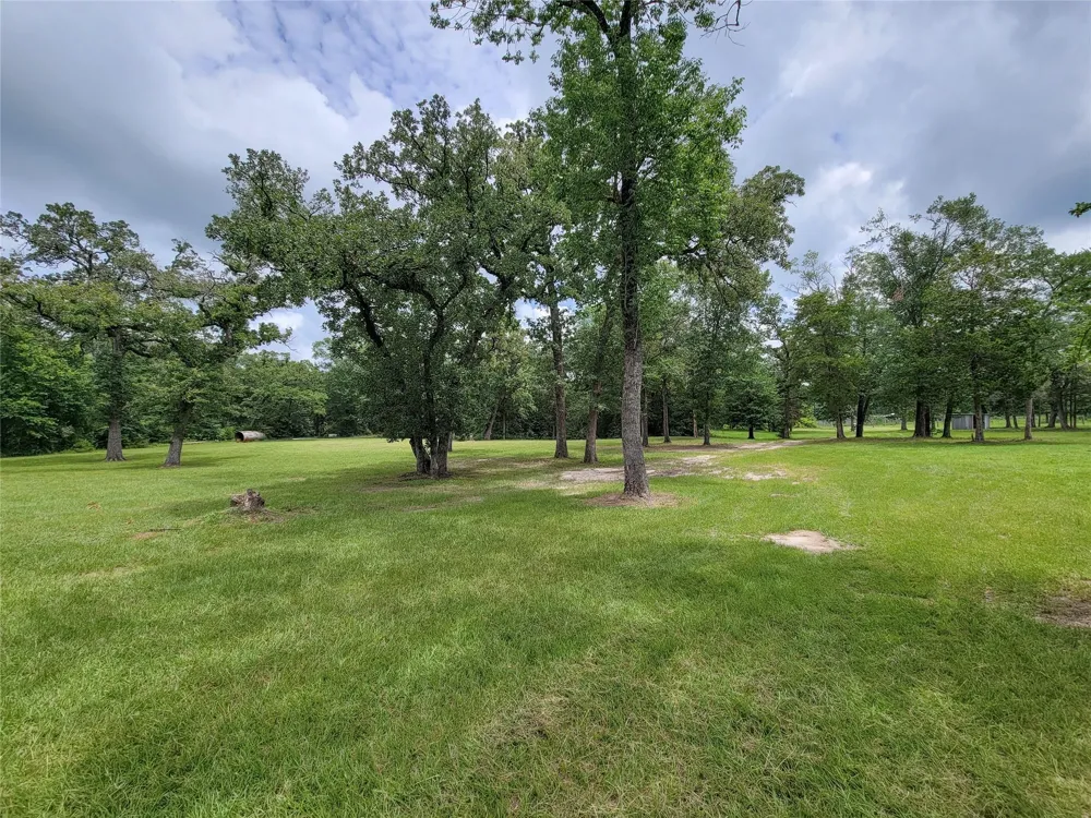 1785 Misty Hollow Lane Bedias, TX 77831