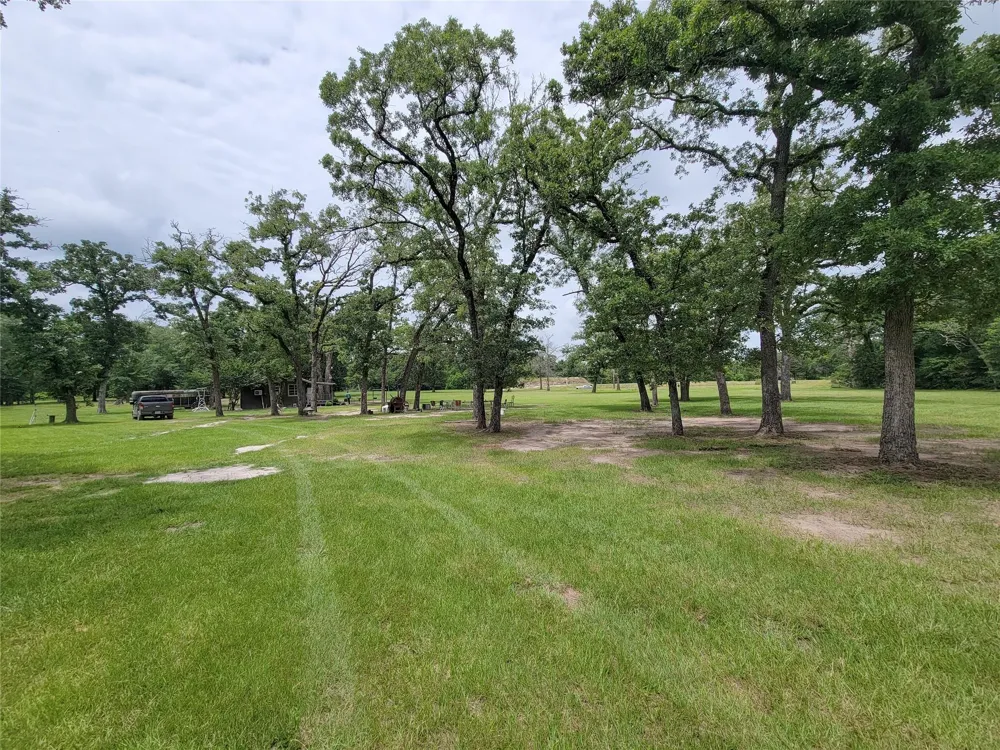 1785 Misty Hollow Lane Bedias, TX 77831