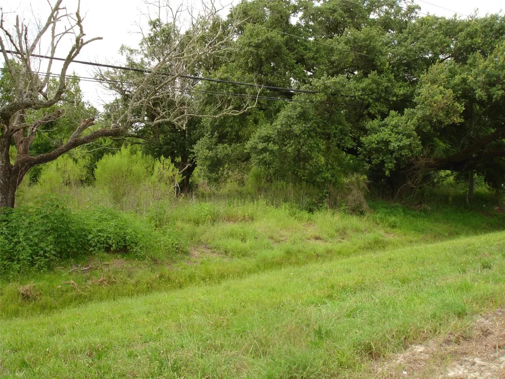 3207 W Parkwood Avenue Friendswood, TX 77546