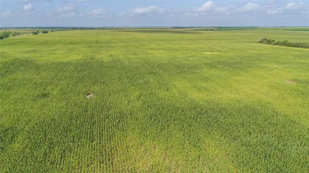 Fm 888 Mathis, TX 78368