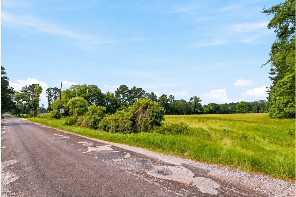 1 Mount Zion Road New Waverly, TX 77358