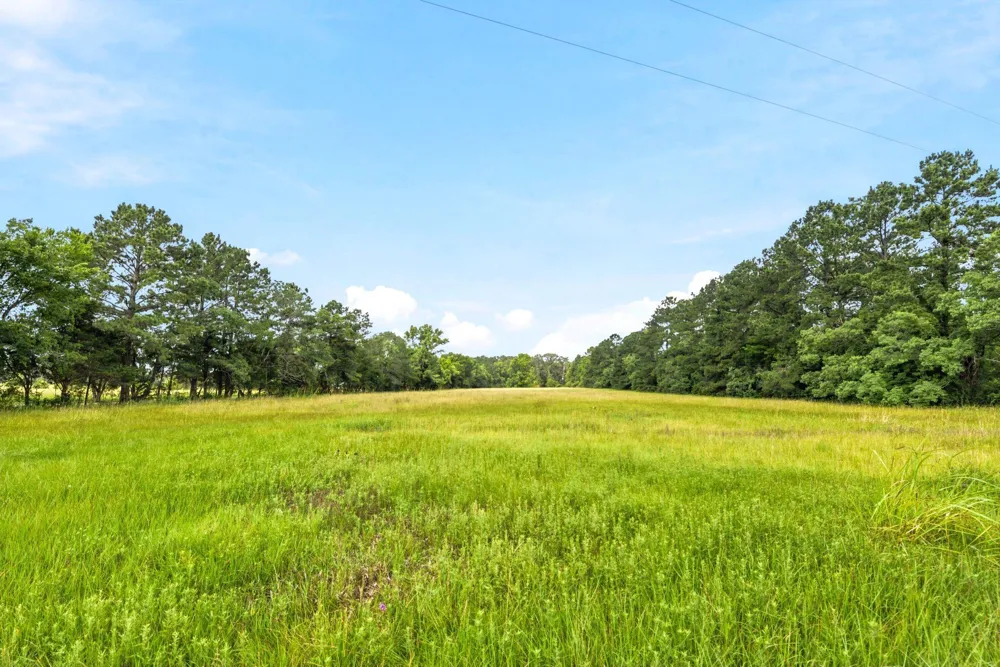 1 Mount Zion Road New Waverly, TX 77358
