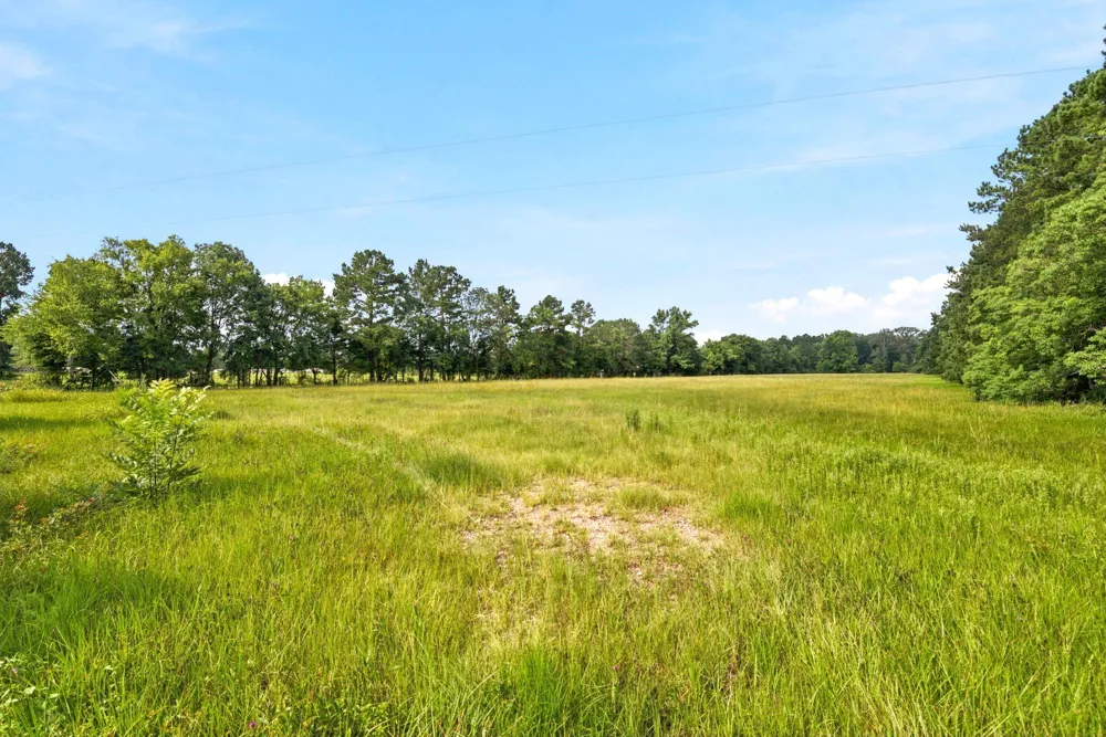 1 Mount Zion Road New Waverly, TX 77358