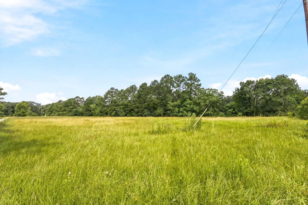 1 Mount Zion Road New Waverly, TX 77358