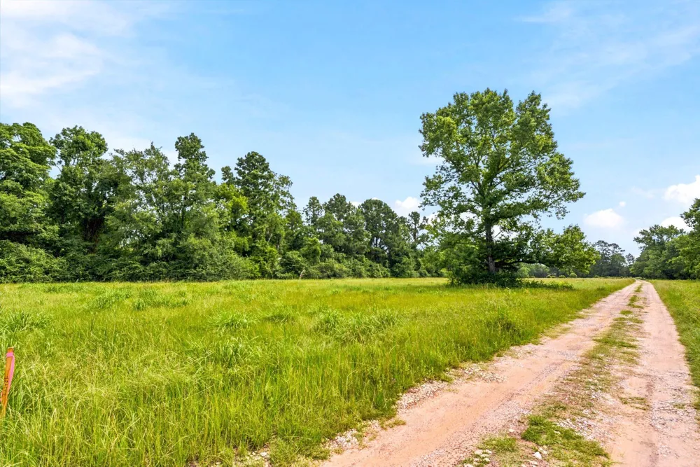 1 Mount Zion Road New Waverly, TX 77358