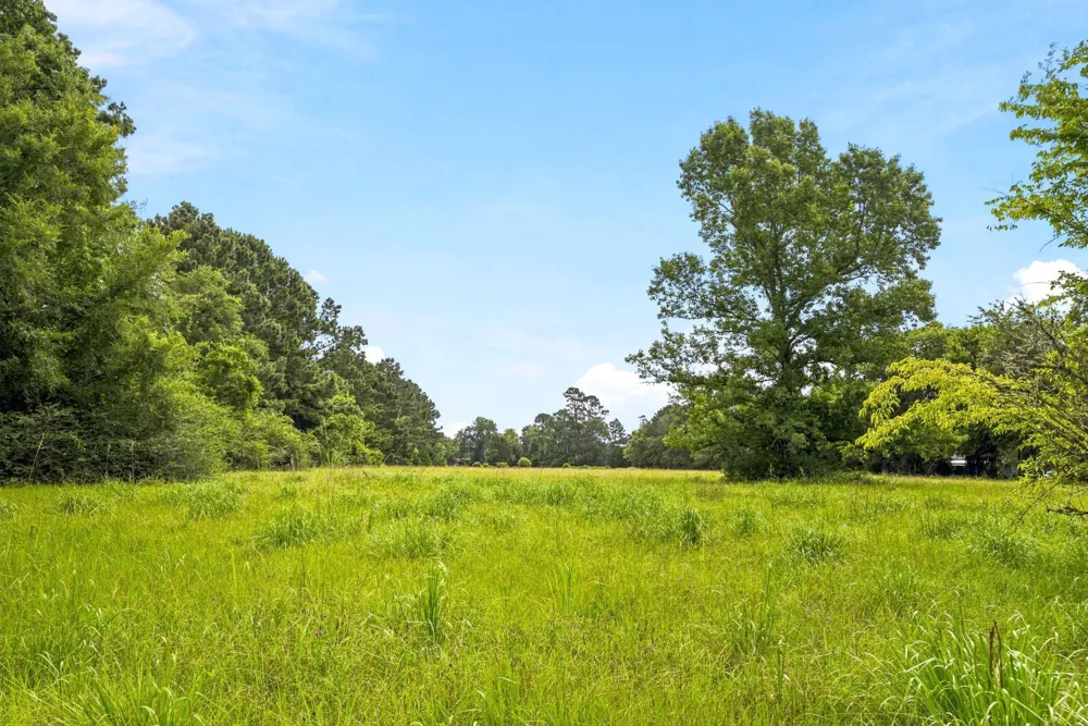 1 Mount Zion Road New Waverly, TX 77358