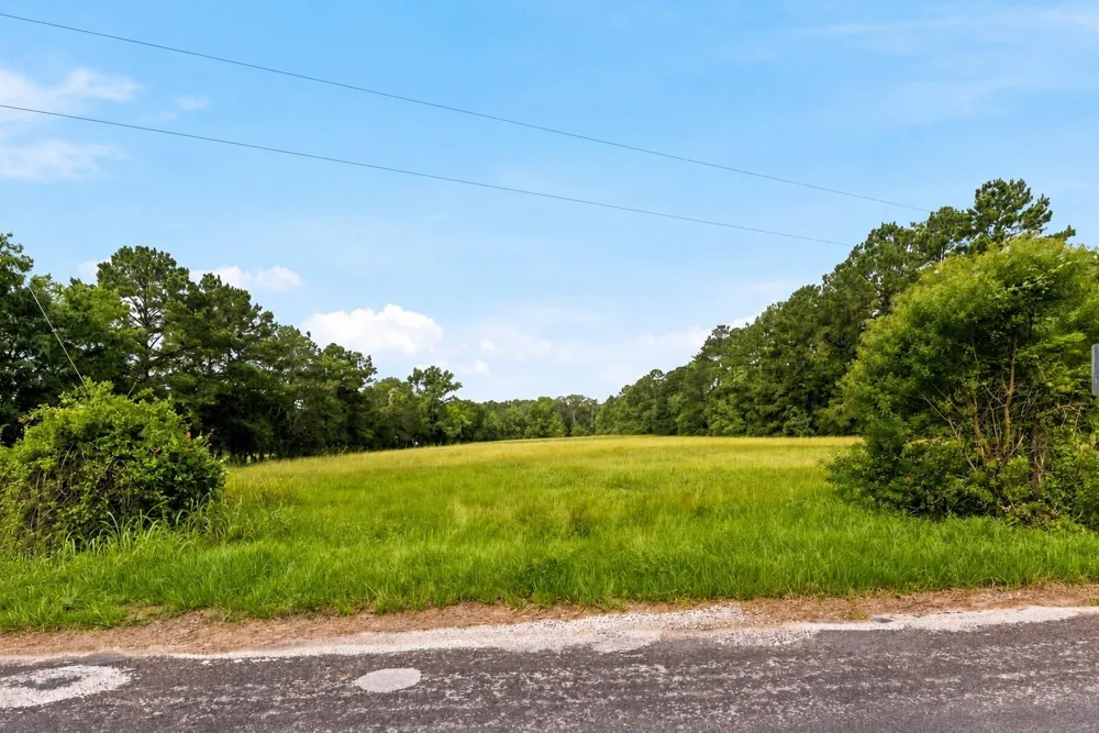 1 Mount Zion Road New Waverly, TX 77358