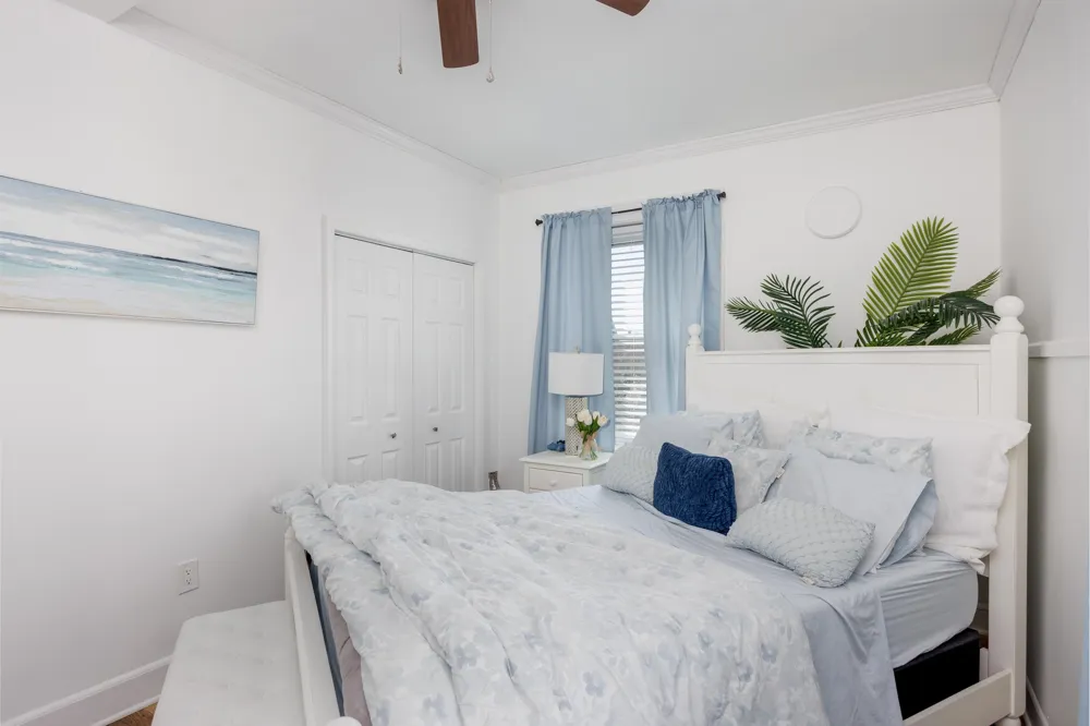 210 Ocean Street Cape May, NJ 08204