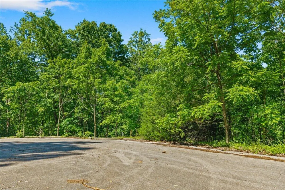 Elm Lot 19 Lane Sweetwater, TN 37874