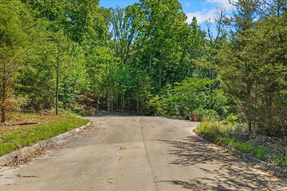 Elm Lot 19 Lane Sweetwater, TN 37874
