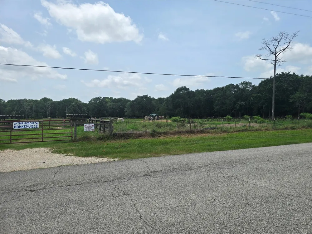 1 County Road 302 Plantersville, TX 77363