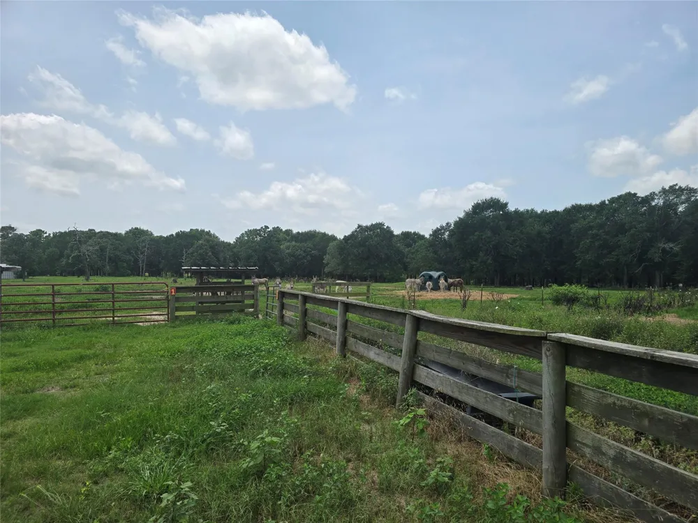 1 County Road 302 Plantersville, TX 77363