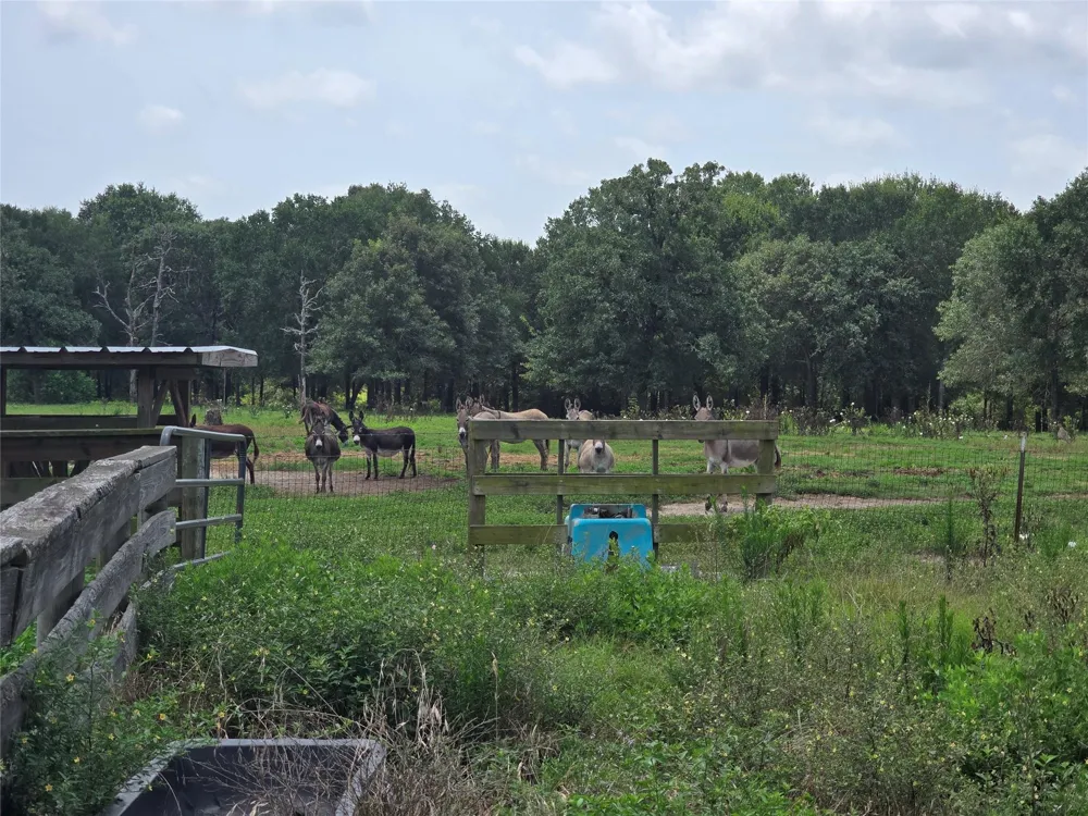 1 County Road 302 Plantersville, TX 77363