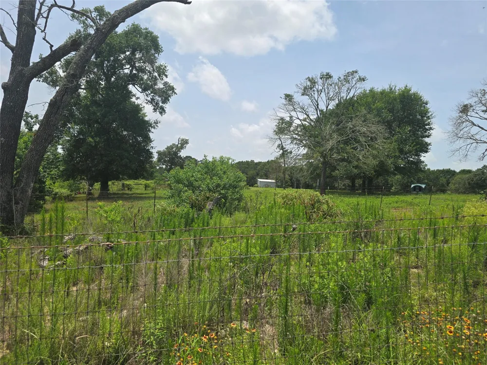 1 County Road 302 Plantersville, TX 77363