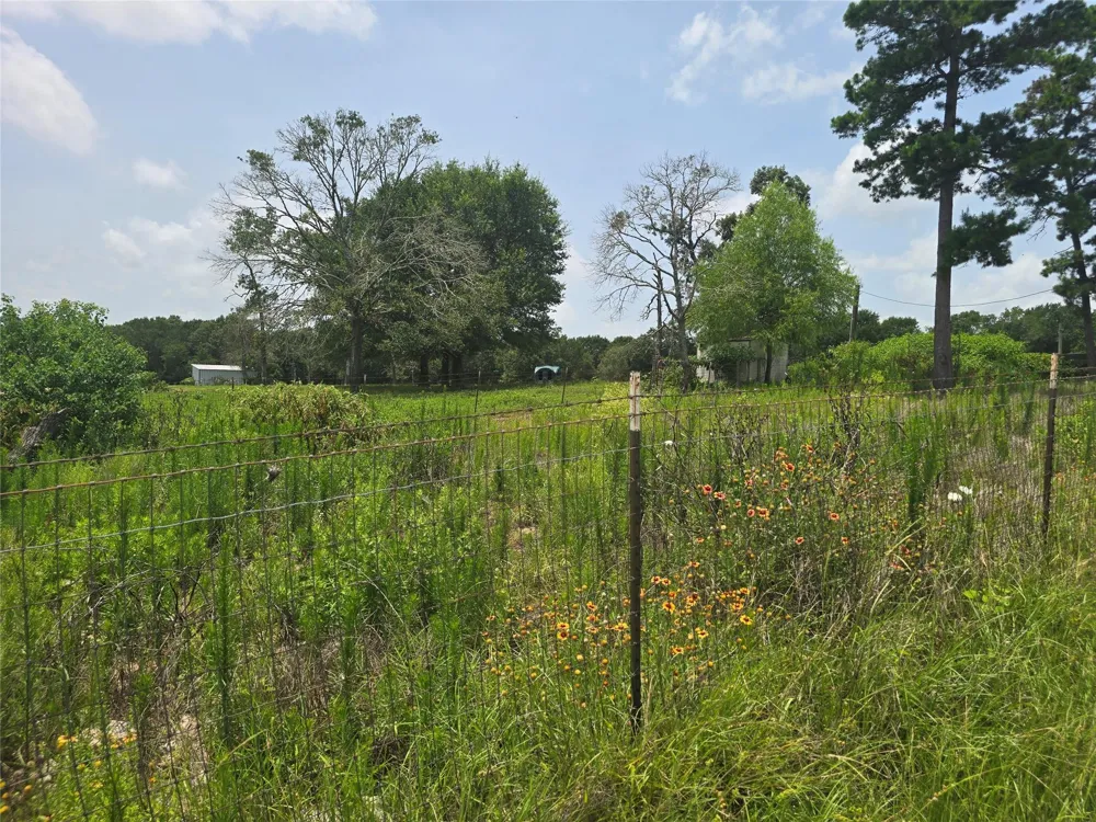 1 County Road 302 Plantersville, TX 77363