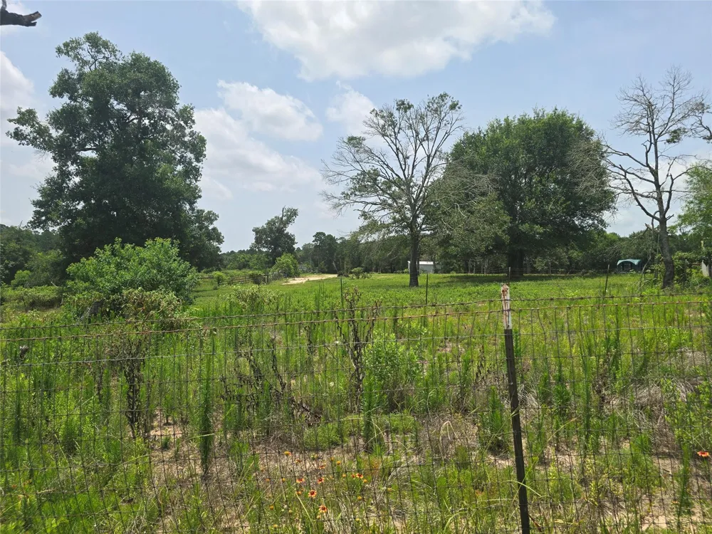1 County Road 302 Plantersville, TX 77363