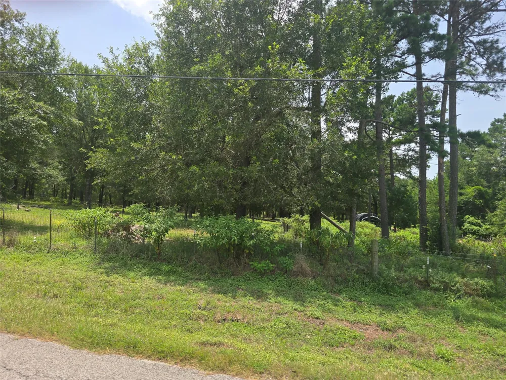 1 County Road 302 Plantersville, TX 77363