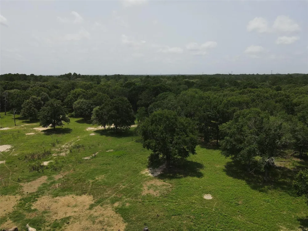 1 County Road 302 Plantersville, TX 77363