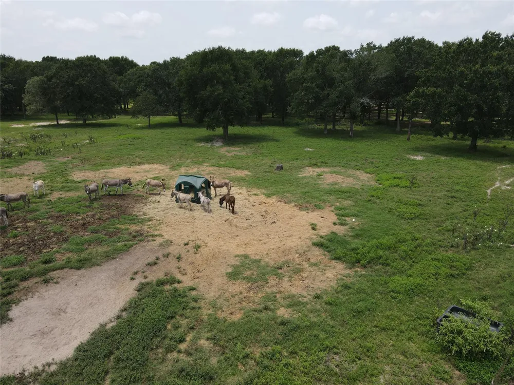 1 County Road 302 Plantersville, TX 77363