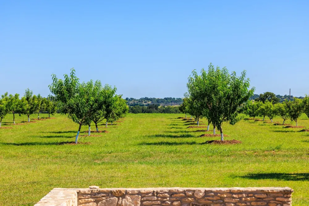 745 Dusty Farm Lane Fredericksburg, TX 78624