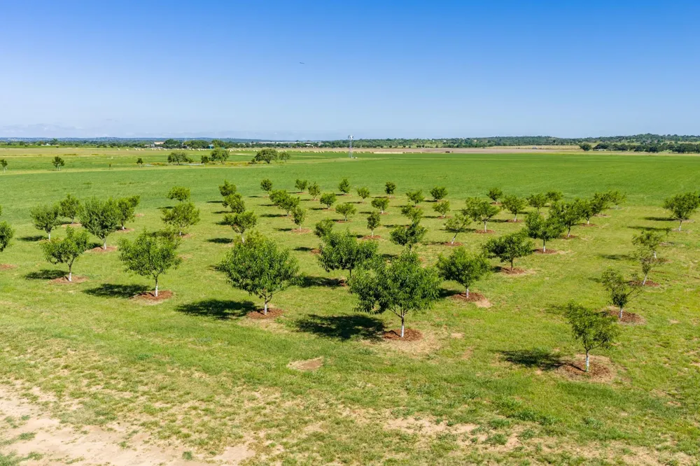 745 Dusty Farm Lane Fredericksburg, TX 78624