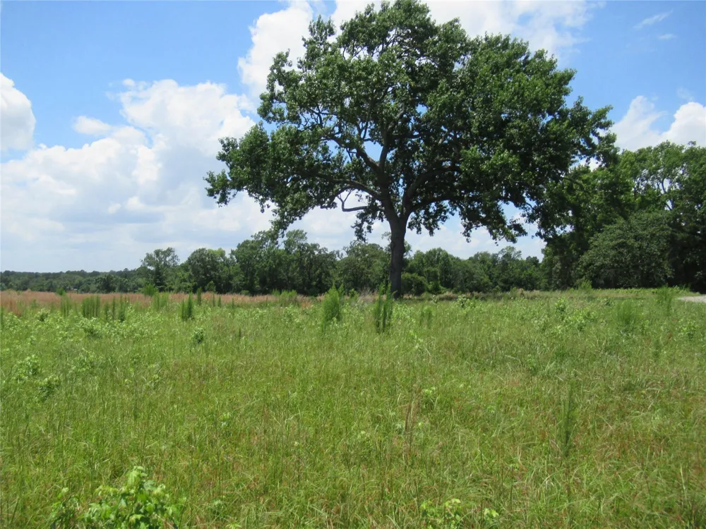 11501 Fm 356 Trinity, TX 75862
