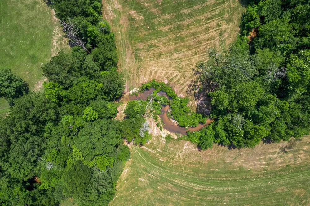 4161 Fm 2666 Road Shepherd, TX 77371