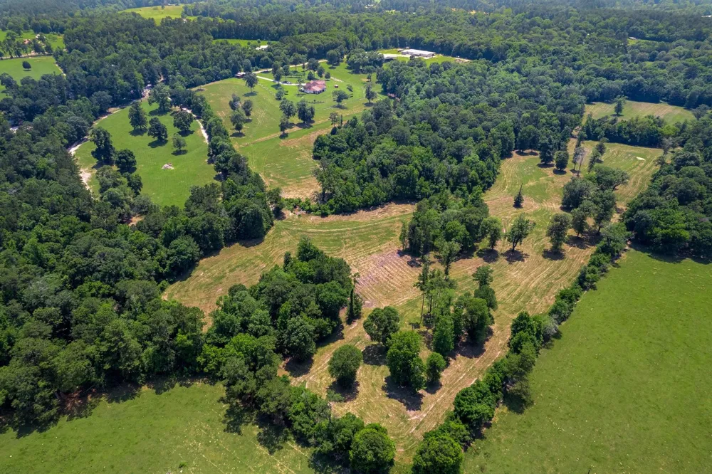4161 Fm 2666 Road Shepherd, TX 77371