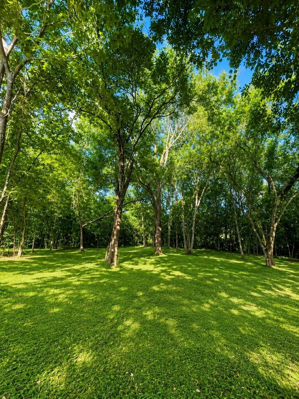 Vionett Lane Texas City, TX 77591