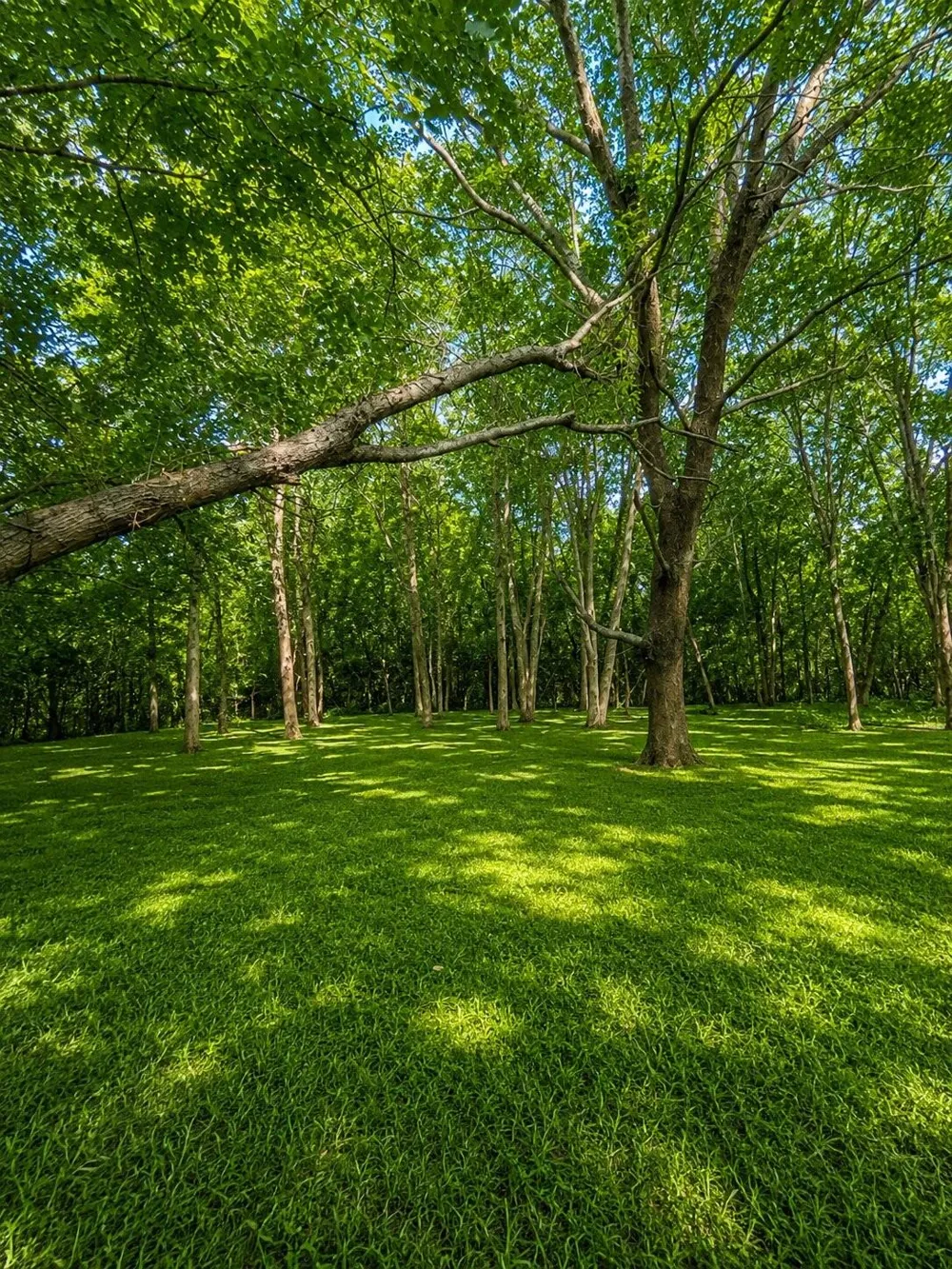 Vionett Lane Texas City, TX 77591