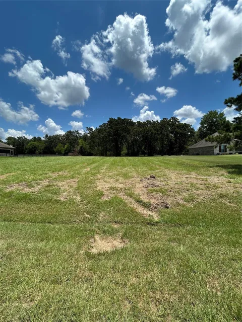 1678 Opal Trail