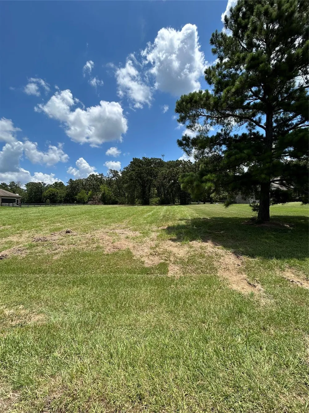 1678 Opal Trail Willis, TX 77378