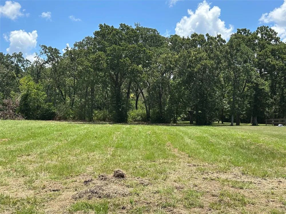 1678 Opal Trail Willis, TX 77378
