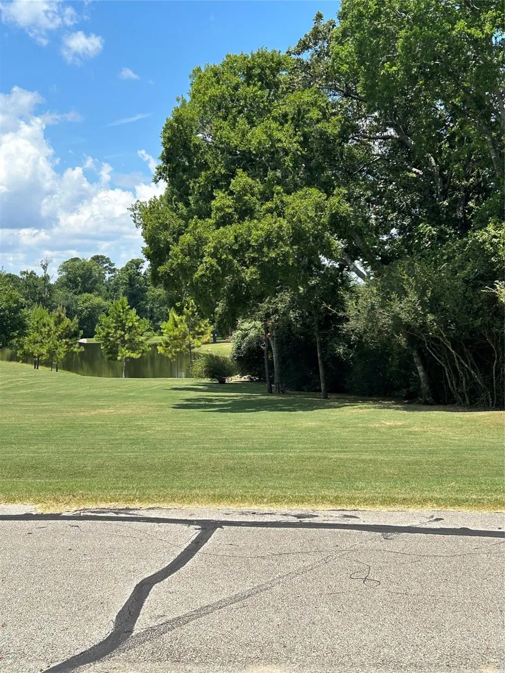 1678 Opal Trail Willis, TX 77378
