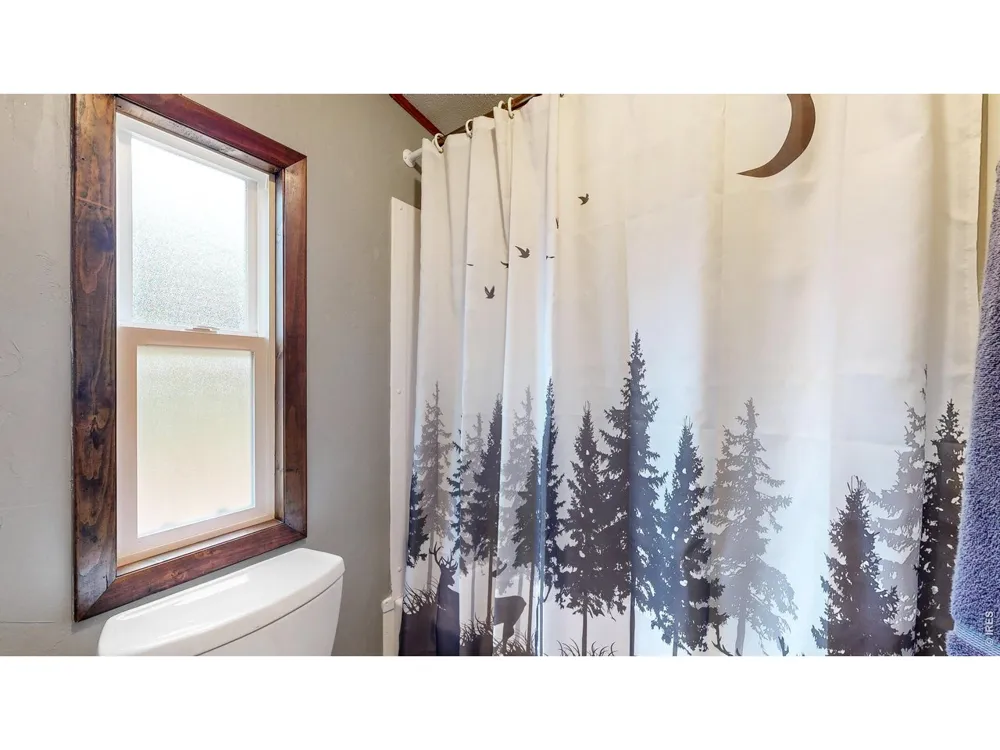 62 Spokane Court Red Feather Lakes, CO 80545